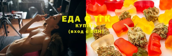 хмурый Пересвет