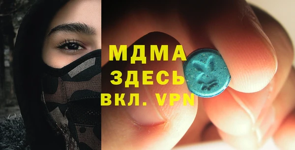 хмурый Пересвет