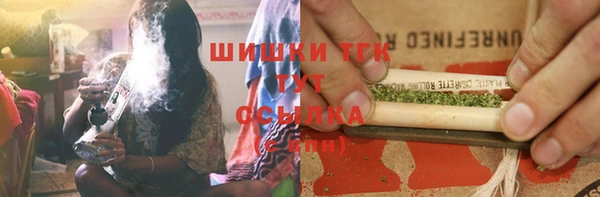 хмурый Пересвет