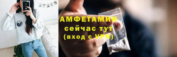 хмурый Пересвет