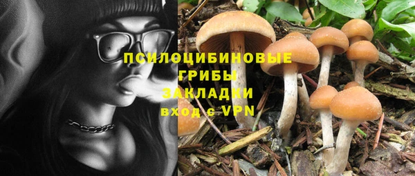 хмурый Пересвет