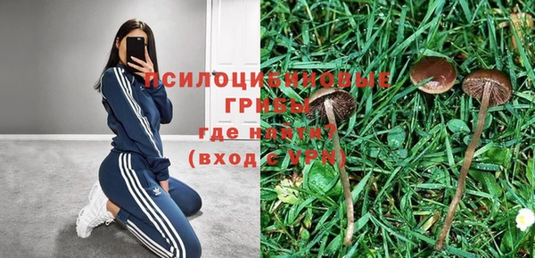 mix Пестово