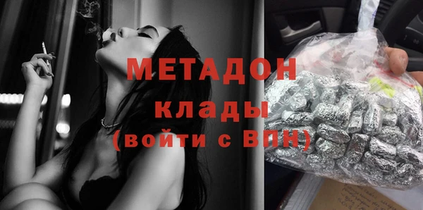 хмурый Пересвет