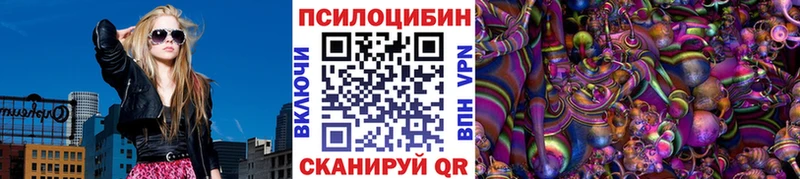это как зайти  Богородск  Псилоцибиновые грибы Psilocybine cubensis 