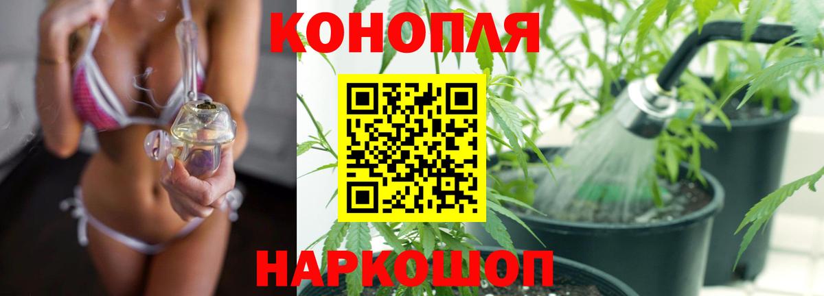 Марихуана гибрид  Марихуана тримм  Вход с VPN  Богородск  Шишки марихуана план 